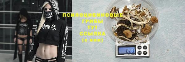 марихуана Белокуриха